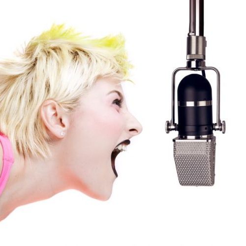 どなり声と表現は相反するもの